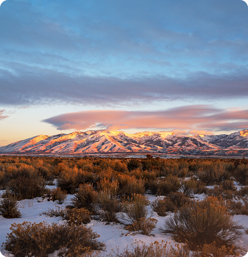 Nevada Landmark
