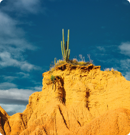 New Mexico Landmark