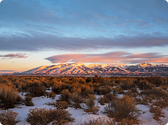Nevada Landmark