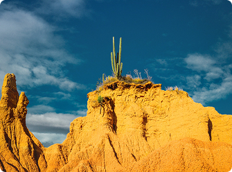 New Mexico Landmark