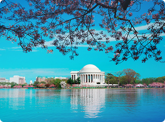 Washington Landmark